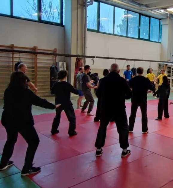 Seminarios presenciales de Tai Chi con Naxo de la Encina