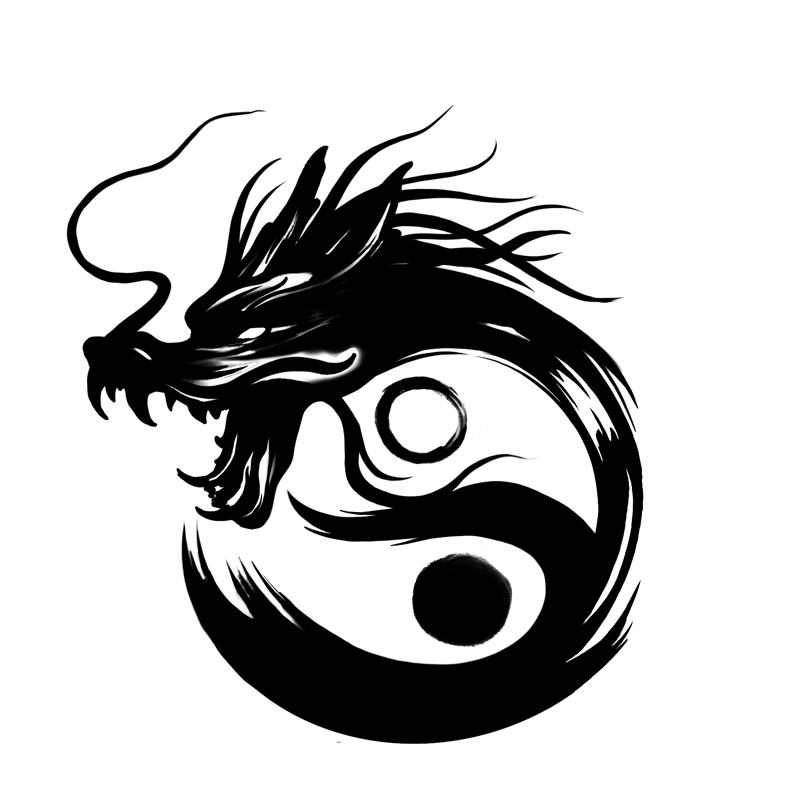 Dragon Taiji Academy — volver al inicio